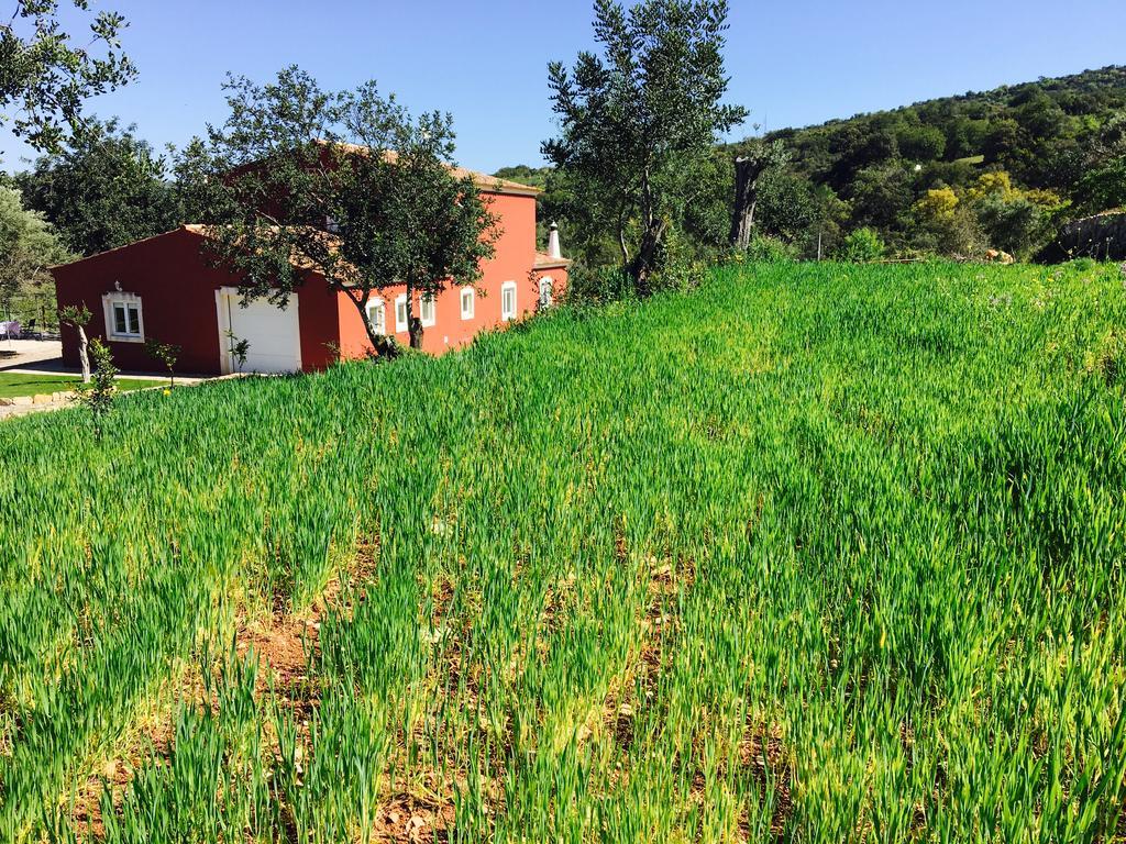 Villa Monte Da Alfarrobeira Estoi Exterior foto